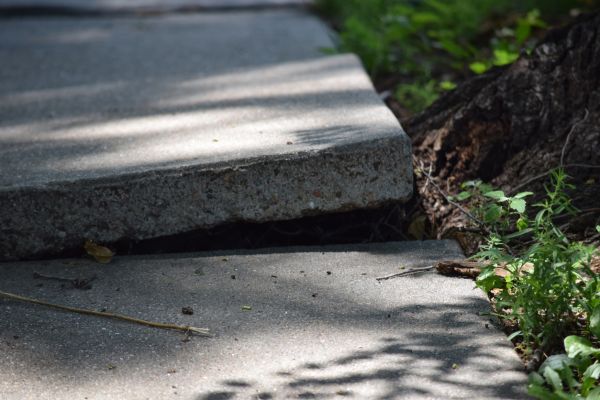 Cost of Sidewalk Leveling in West Bloomfield